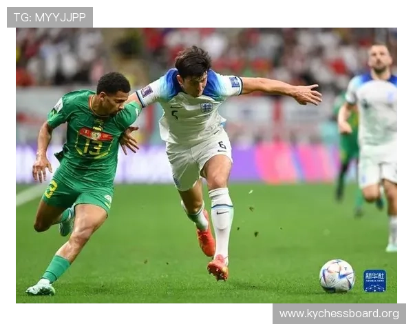 法国对阵塞内加尔比赛数据分析全面解析世界杯关键战役表现与战术对比
